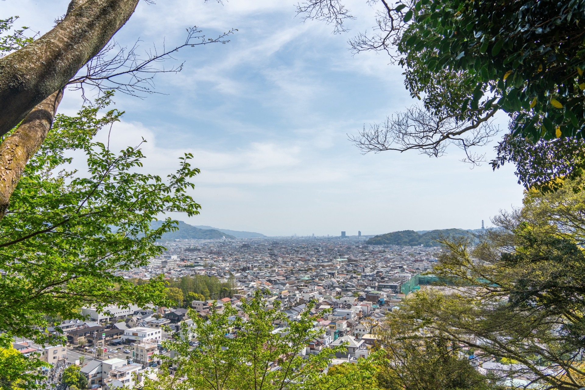 商売の始め時と引き際