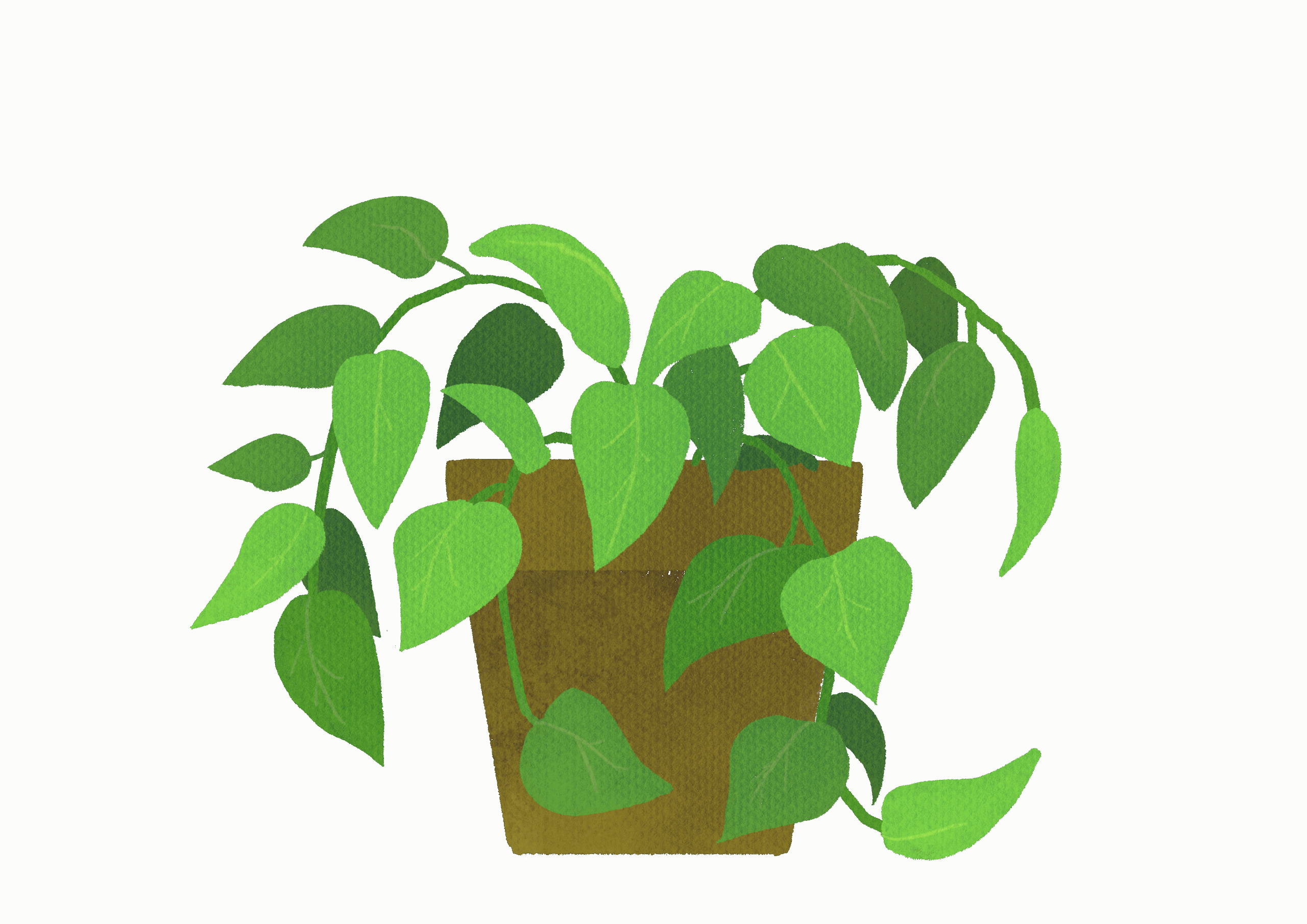 観葉植物を書斎に置いてみる